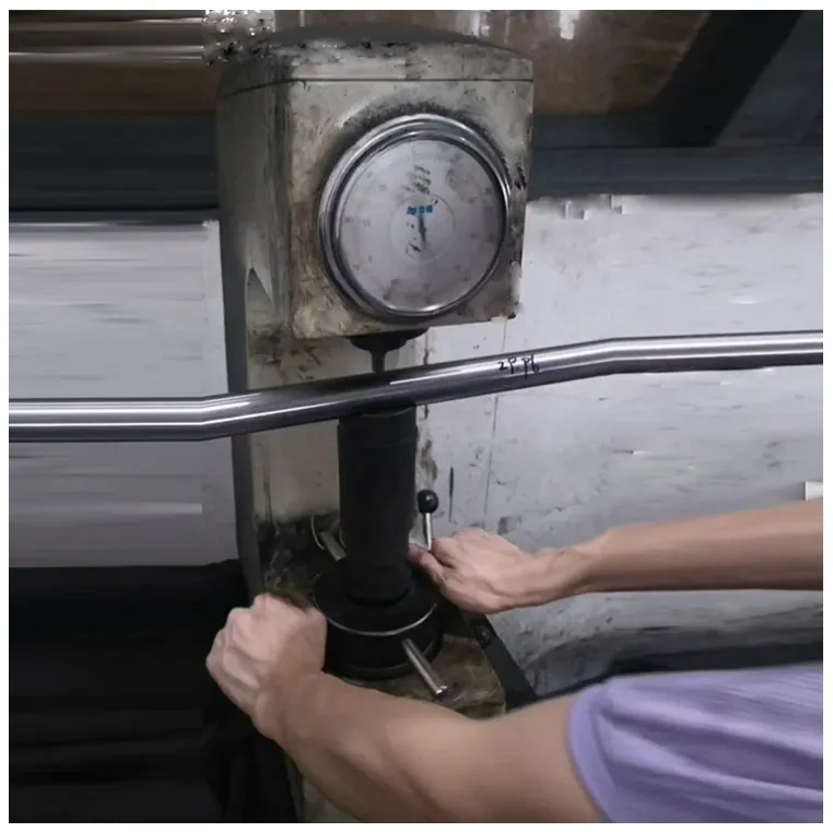 Carbon Steel Material G6 Precision 12mm Induction Linear Shaft